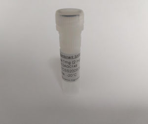 重组SARS-COV-2穗蛋白受体结合域他
