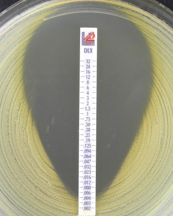 fda通过Liofilchem MIC Test Strip MTS Delafloxacin DLX