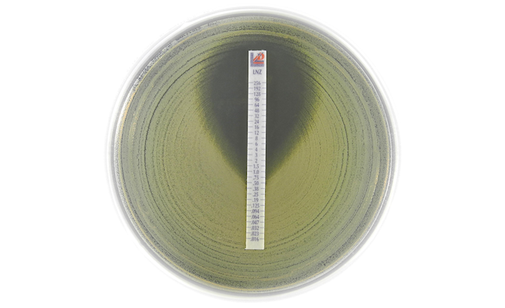 fda通过Liofilchem MIC Test Strip MTS Linezolid LNZ