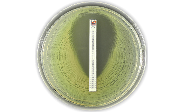 ATCC 8090 CZA jpg