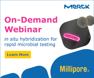 On demand webinar about Hybriscan rapid microbial detection