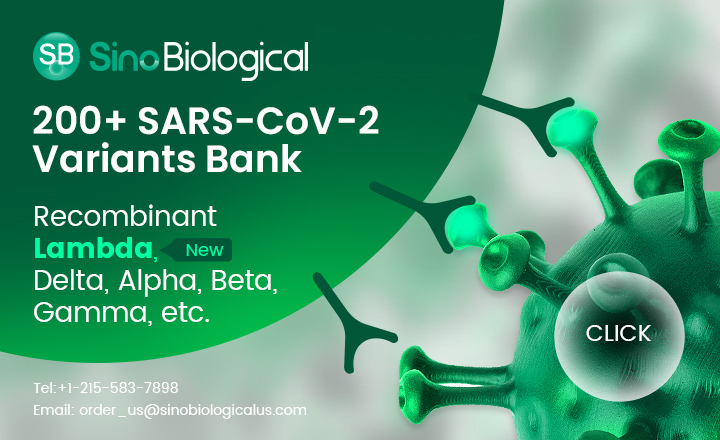 重组SARS-COV-2变体银行
