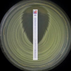 2021年_liofilchem_micteststrip300