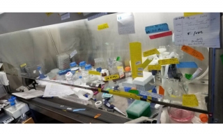 这是你的生物安全柜吗