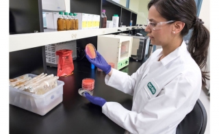 Bio-Rad的<em>李斯特菌</em>检测方法:全部在一个地方!