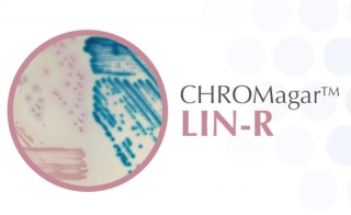 用CHROMagar交易LIN-R来对抗耐利奈唑胺菌株的出现