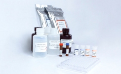 SARS-CoV-2中和抗体试验
