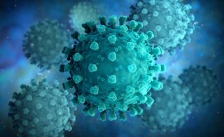 用VIR-em型SARS-CoV-2试剂盒检测SARS-CoV-2变异型
