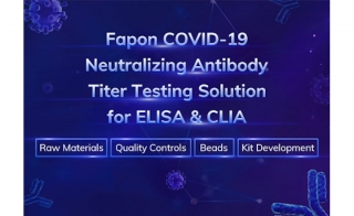 高特异性中和抗体用于COVID-19疫苗的效力和免疫研究