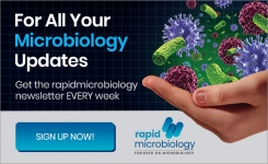 每周获取免费的微生物学产品更新