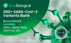重组SARS-CoV-2抗原用于疫苗研究