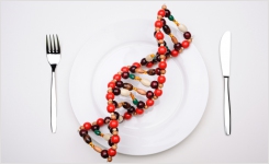 转基因食品检测技术