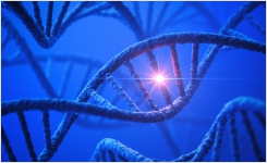 食品微生物实验室的PCR