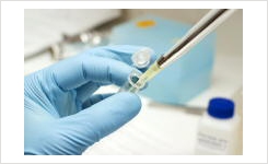 制药实验室微生物学快速方法