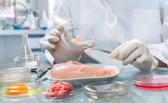 SARS-CoV-2表面试验-试验方法和买方39s指南