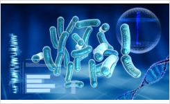 利用分子技术进行微生物鉴定和菌株分型