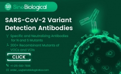 COVID-19免疫检测