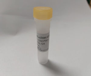 伪荧光素酶GFP rSARS-CoV-2峰值
