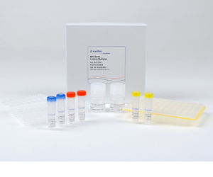 Salmonella histeria Ecoli O157H7的快餐病原体试验