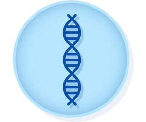 SARS冠状病毒2合成RNA N基因靶