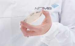 ncimb孤立在板上
